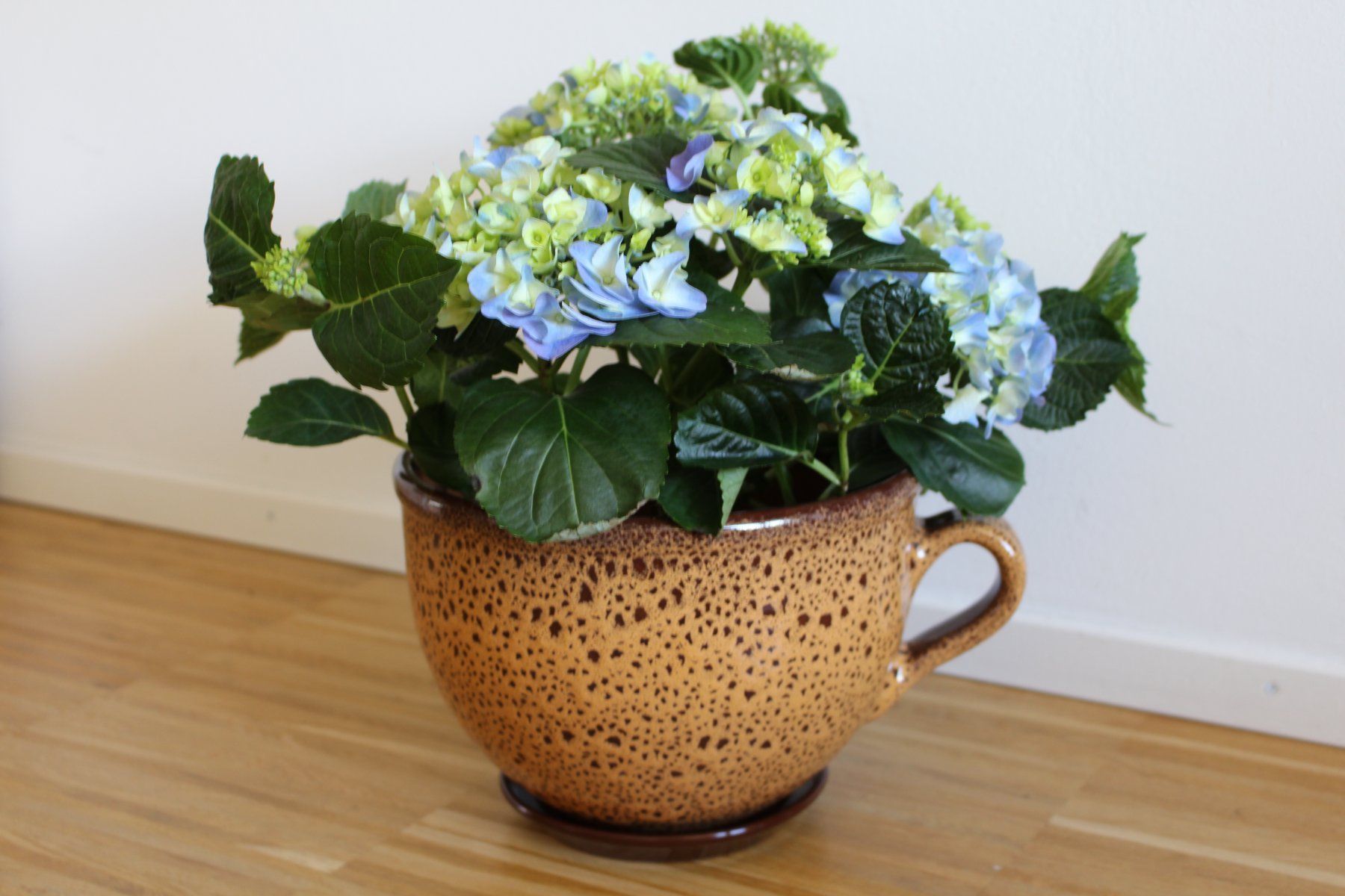 Vasi per fiori: Blumentopf/Pflanzentopf/Tontopf "Tasse" – Nuovo e nell'imballaggio originale da Zürich venduto da StellaKar 2