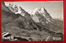 Eiger, Wetterhorn, Grosse Scheidegg Top