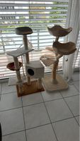 Kratzbaum Set fuer Katzen beige Zustand GEBRAUCHT 