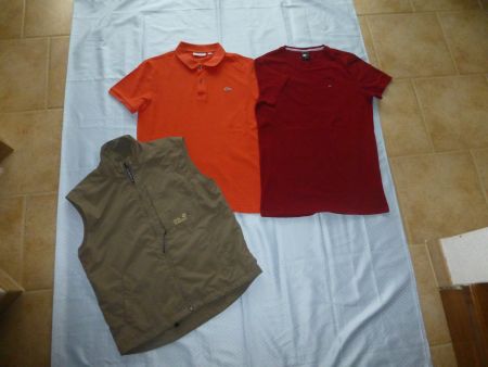 2 T-Shirts, 1 Gilet Lacoste, T. Hilfiger, J. Wolfskin