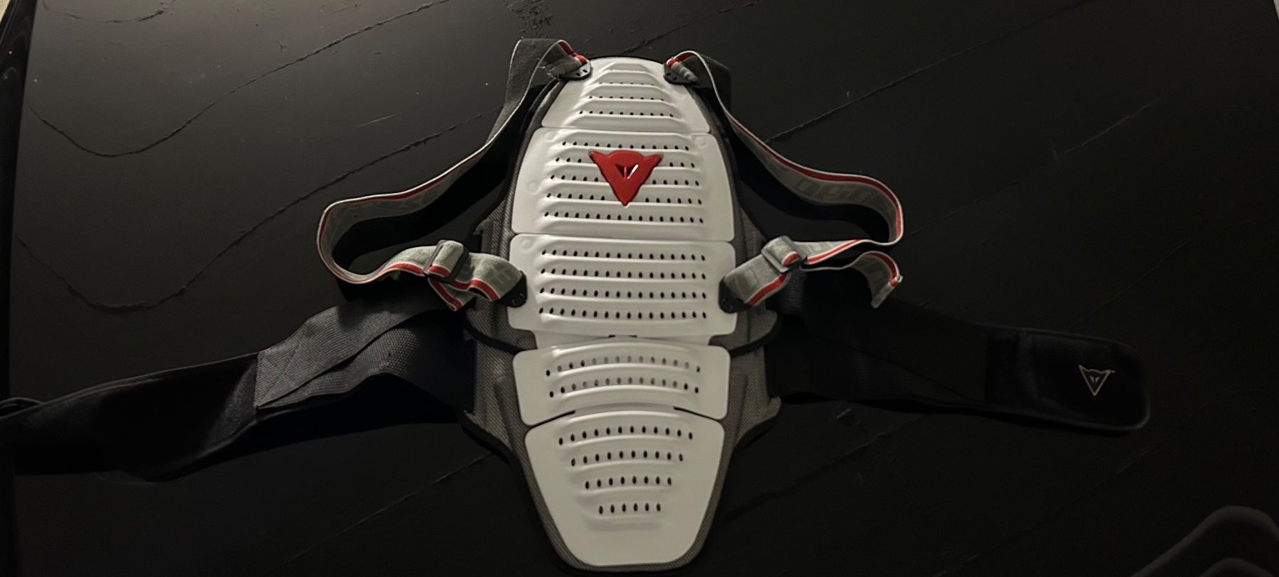Dainese Protezioni & Imbottiture: Paraschiena Dainese – Usato da Langnau Am Albis venduto da raf_hrh2 1