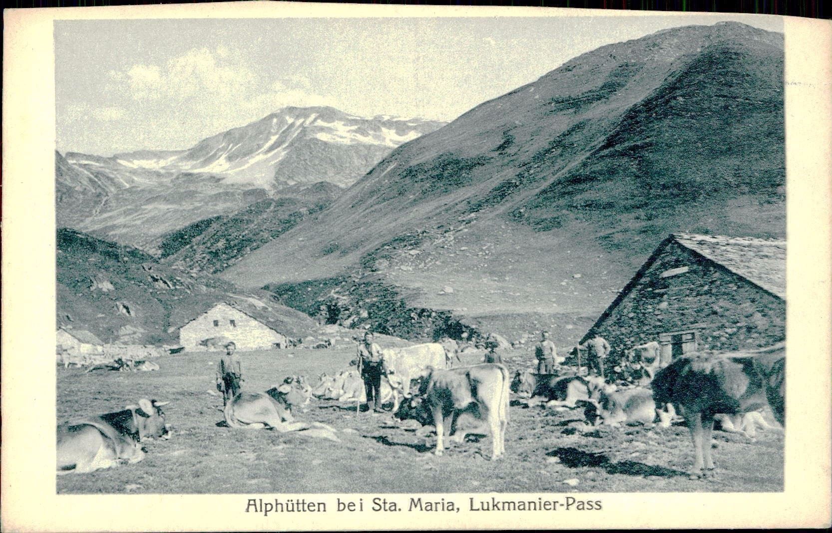 Cartoline postali: Lucomagno - Lukmanier mucche TI – Usato da Biasca venduto da Blenio71