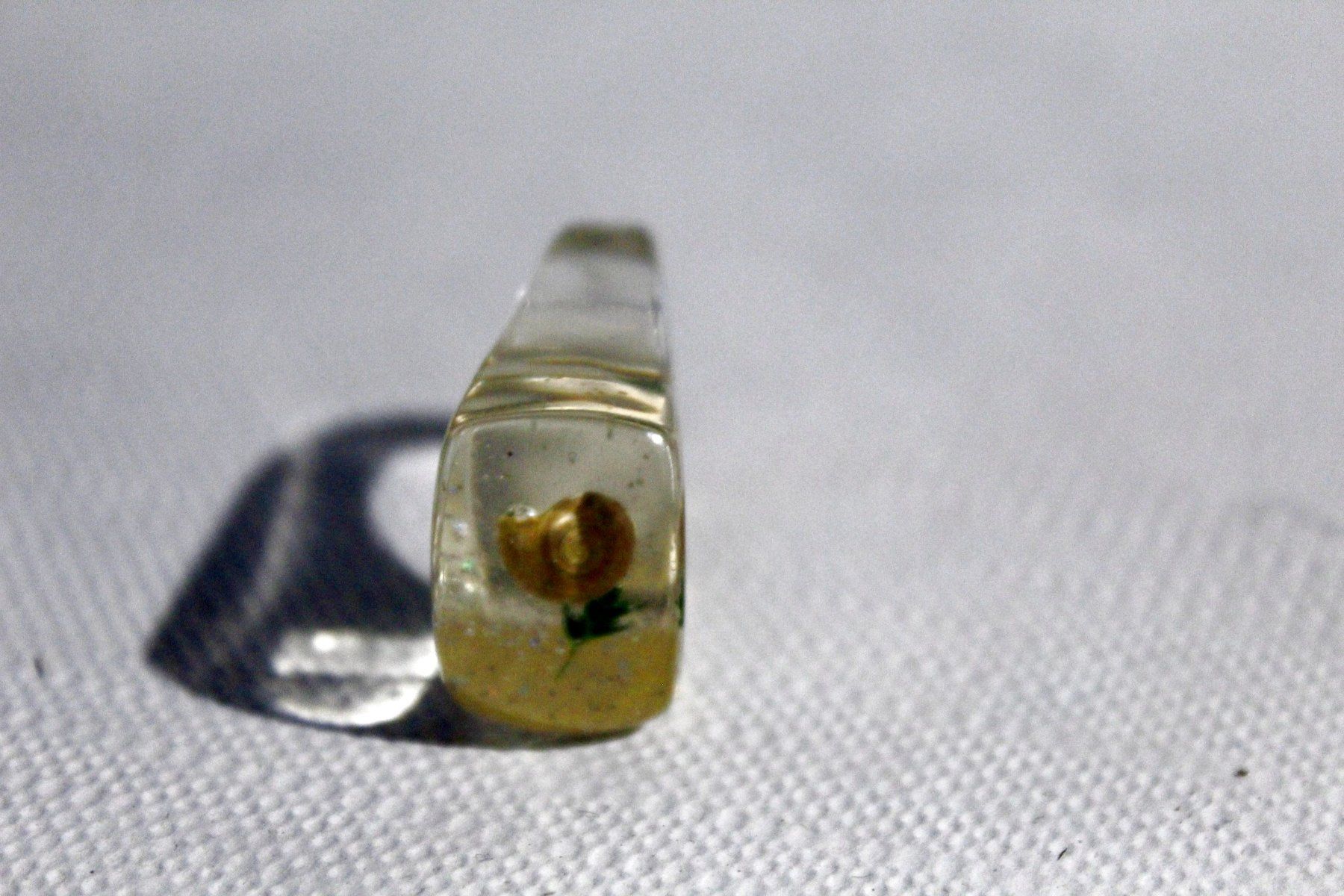 Ringe: Vintage Space-Age - Ring mit Muschel, Seestern, Seeigel, usw – Neu (gemäss Beschreibung) aus Bern von Vitaneuf 5