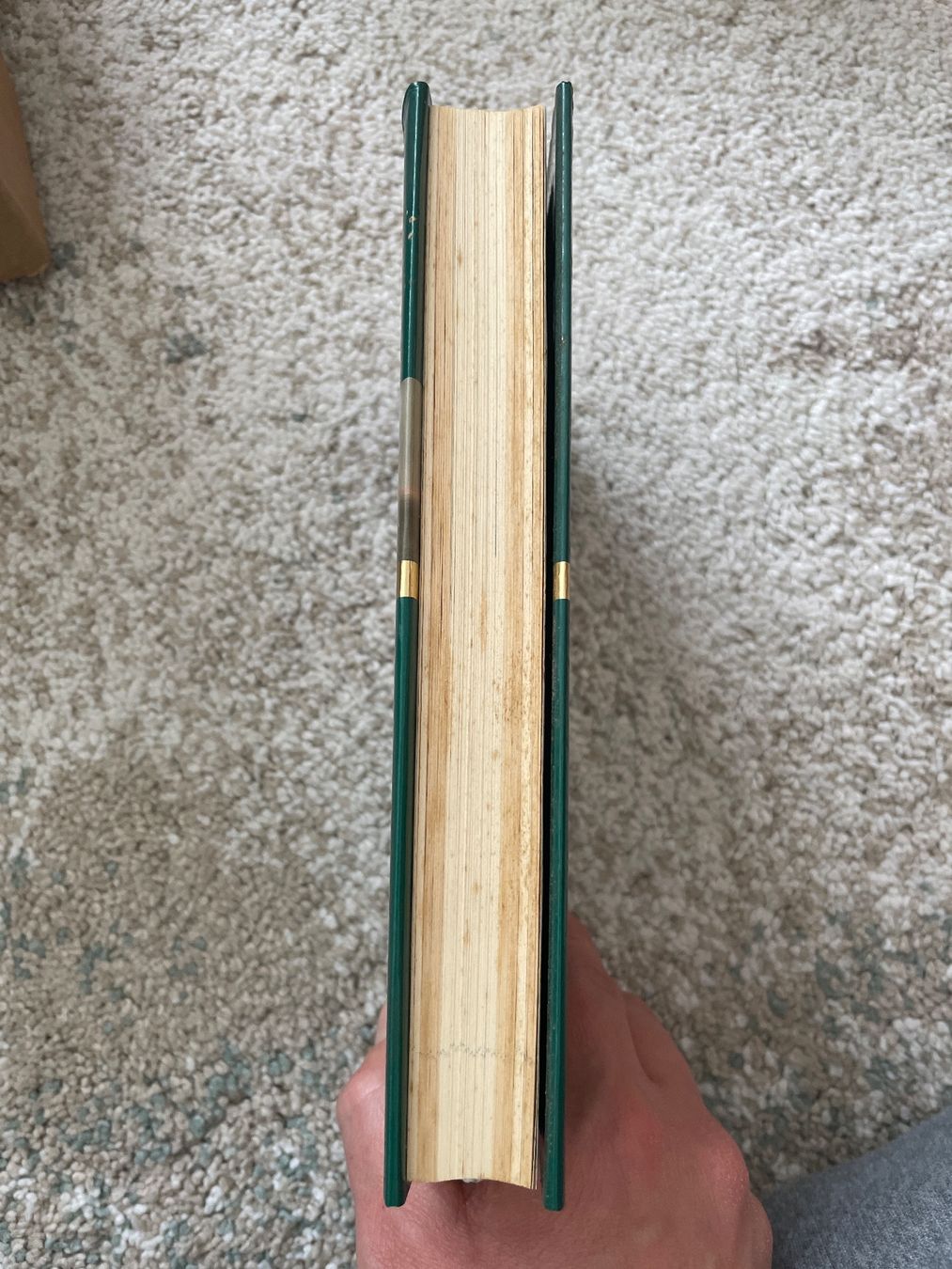 Libri: Dem Wind ausgeliefert – Usato da Sargans venduto da Didis 1