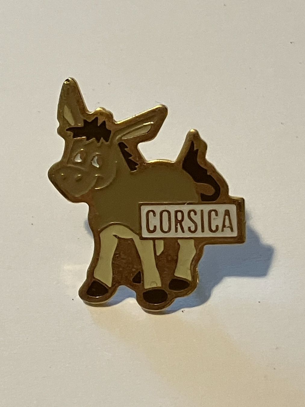 Placchette & Badge: Pin Corsica – Usato da Basel venduto da djwwpp