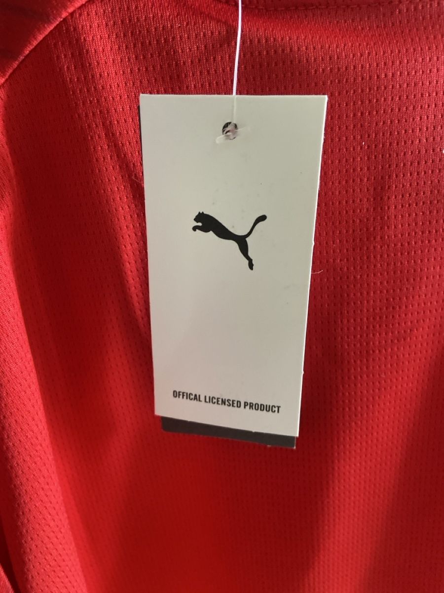 Puma Canottiere & Pantaloni: Maillot officiel Suisse 2026 – Usato da Ste-Croix venduto da Elsa_illigo 6