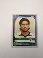 Panini UEFA Champions League 2008-2009 - Nr. 489