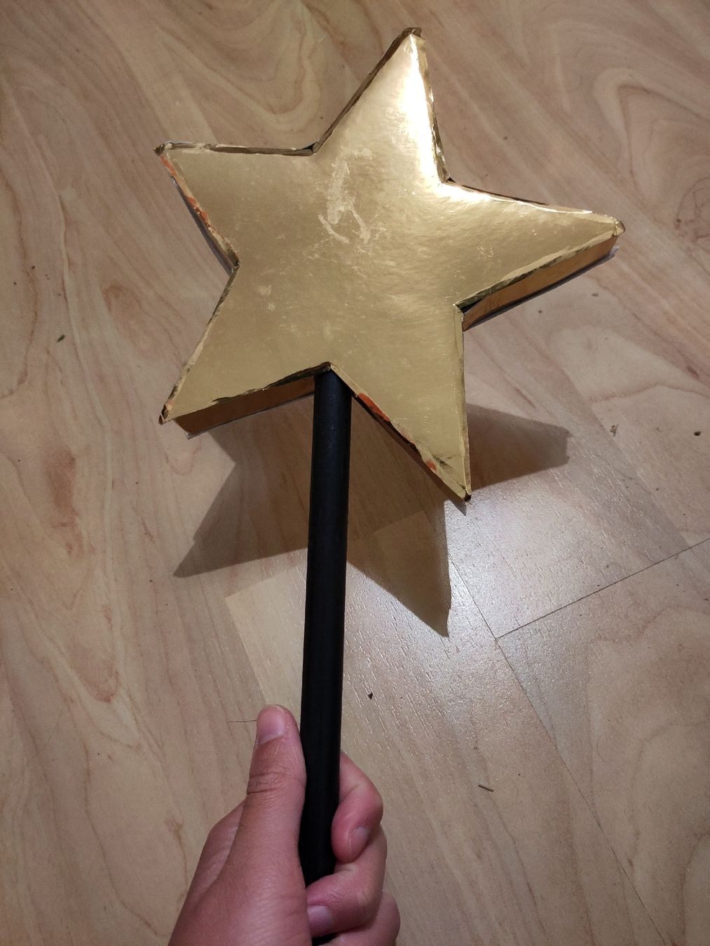 Kostüme: Fasnachtskostüm Elfe Wanda Flügel Krone Stab – Neu (gemäss Beschreibung) aus Kreuzlingen von lenkes_Mediathek 2