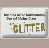 🔥 MAINE COON GLITTER Blechschild 💛 20x30cm OVP 🔥