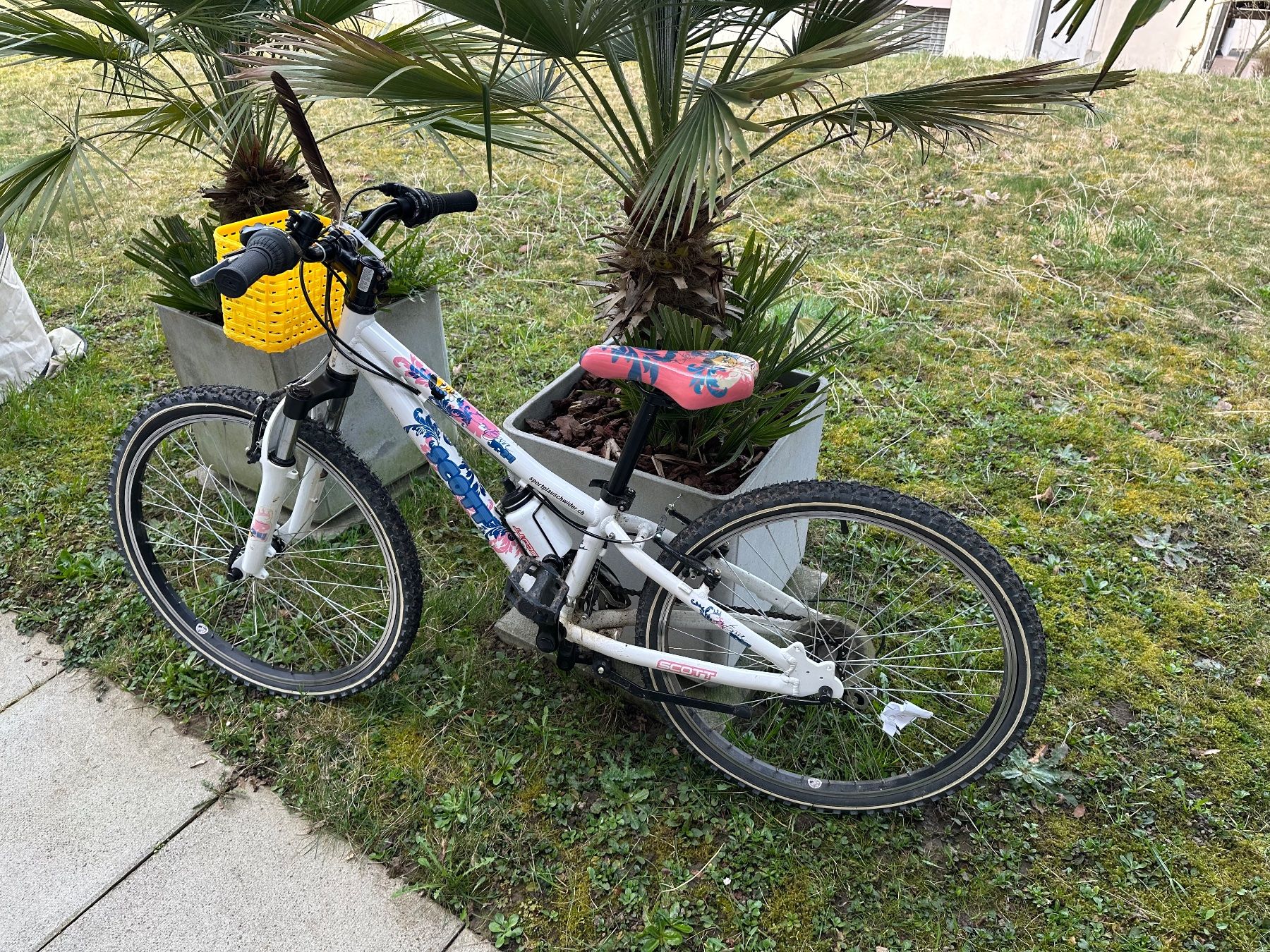 Scott Biciclette: Scott Kinder Bike – Usato da Kloten venduto da Kuechler65 1