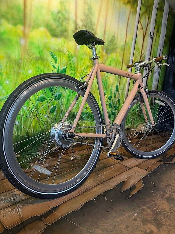 Velos: OLEYVO E-Bike – Gebraucht aus Rüti ZH von wetzikon59 1