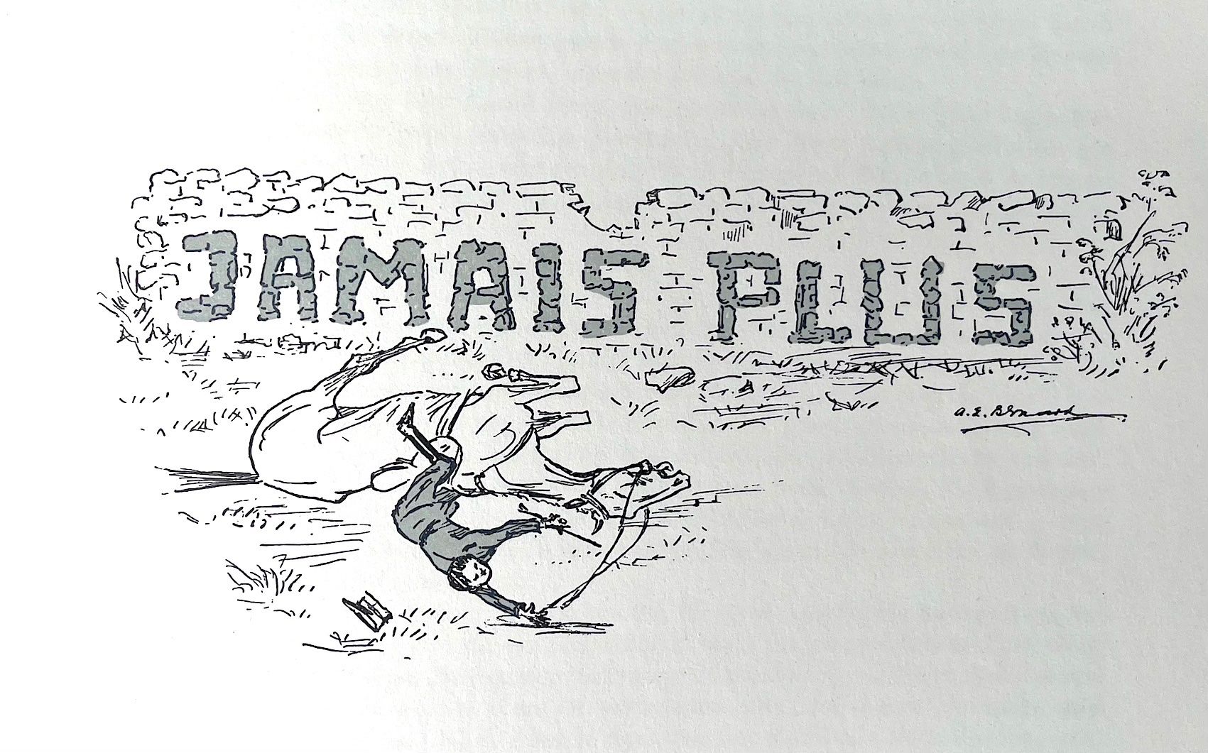 Libri: Jamais Plus - Reiterei der Schweizer Armee – Usato da Burgdorf venduto da Bsb7 2