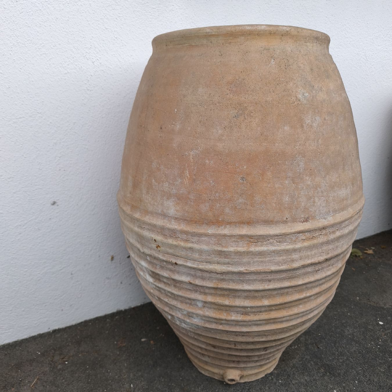Vasi & Recipienti: Amphore – Usato da Goldach venduto da Stalwart
