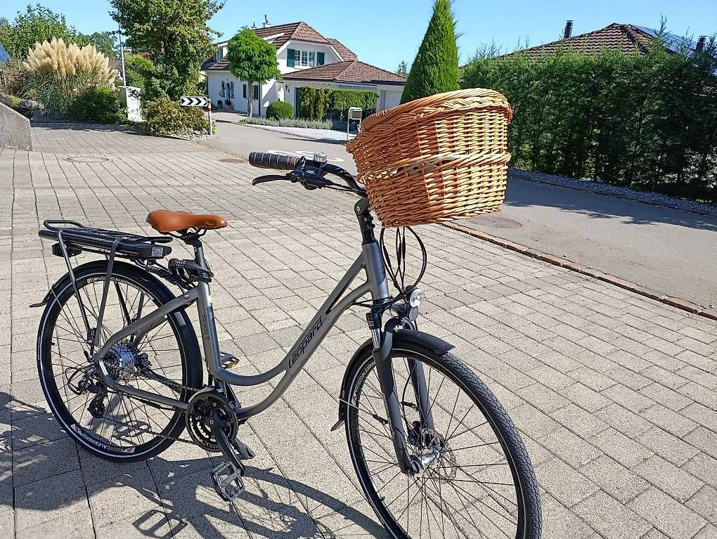 Biciclette: E-Bike mit Tiefeinstieg – Usato da Berg TG venduto da james-54