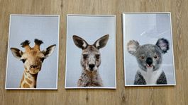 3 süsse Tierbilder fürs Kinderzimmer – mit Rahmen