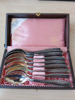 Elegantes Silberlöffel-Set (9-teilig) mit Originalbox