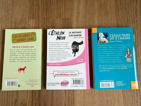 Livres: lot de 3 livres, thème chevaux – D'occasion à Delémont par chloe._rm 1