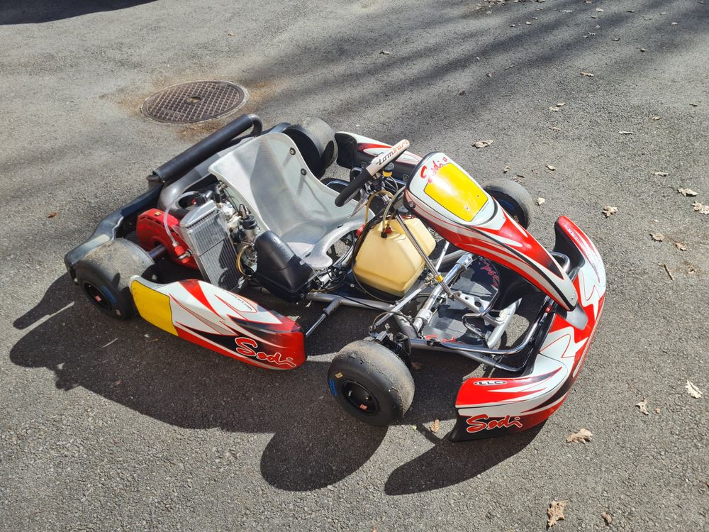 Karting Sodi SR5 avec moteur Rotax max Acheter sur Ricardo