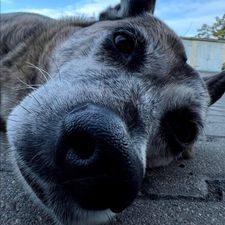 Profile image of mat_5qm6