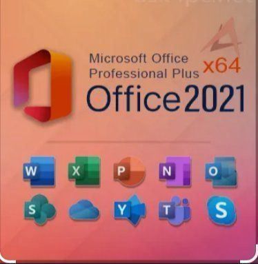 Microsoft Office 2021 Professional Plus online express (Gebraucht) in ...