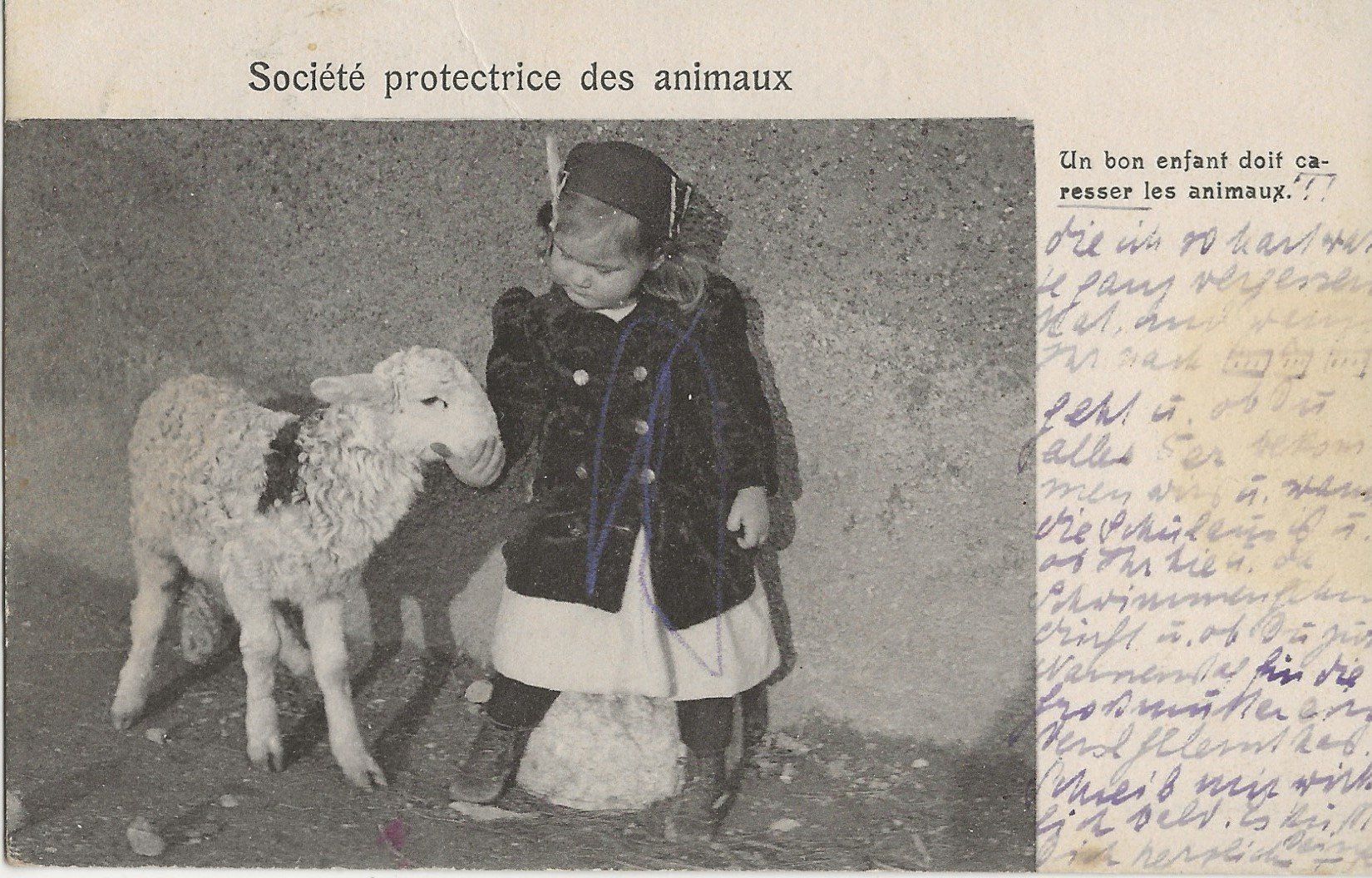 Cartoline postali: Neuchâtel, Tierschutz, 1917 – Usato da Frauenfeld venduto da Merk52