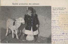 Neuchâtel, Tierschutz, 1917