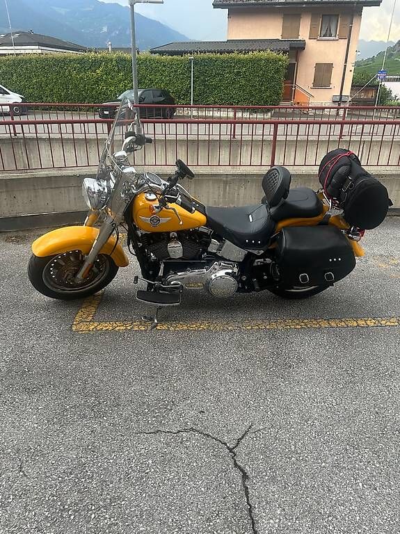 Harley-Davidson Chopper: Magnifique Harley-Davidson FLSTF Softail – Usato da Sion venduto da clarob1962 1