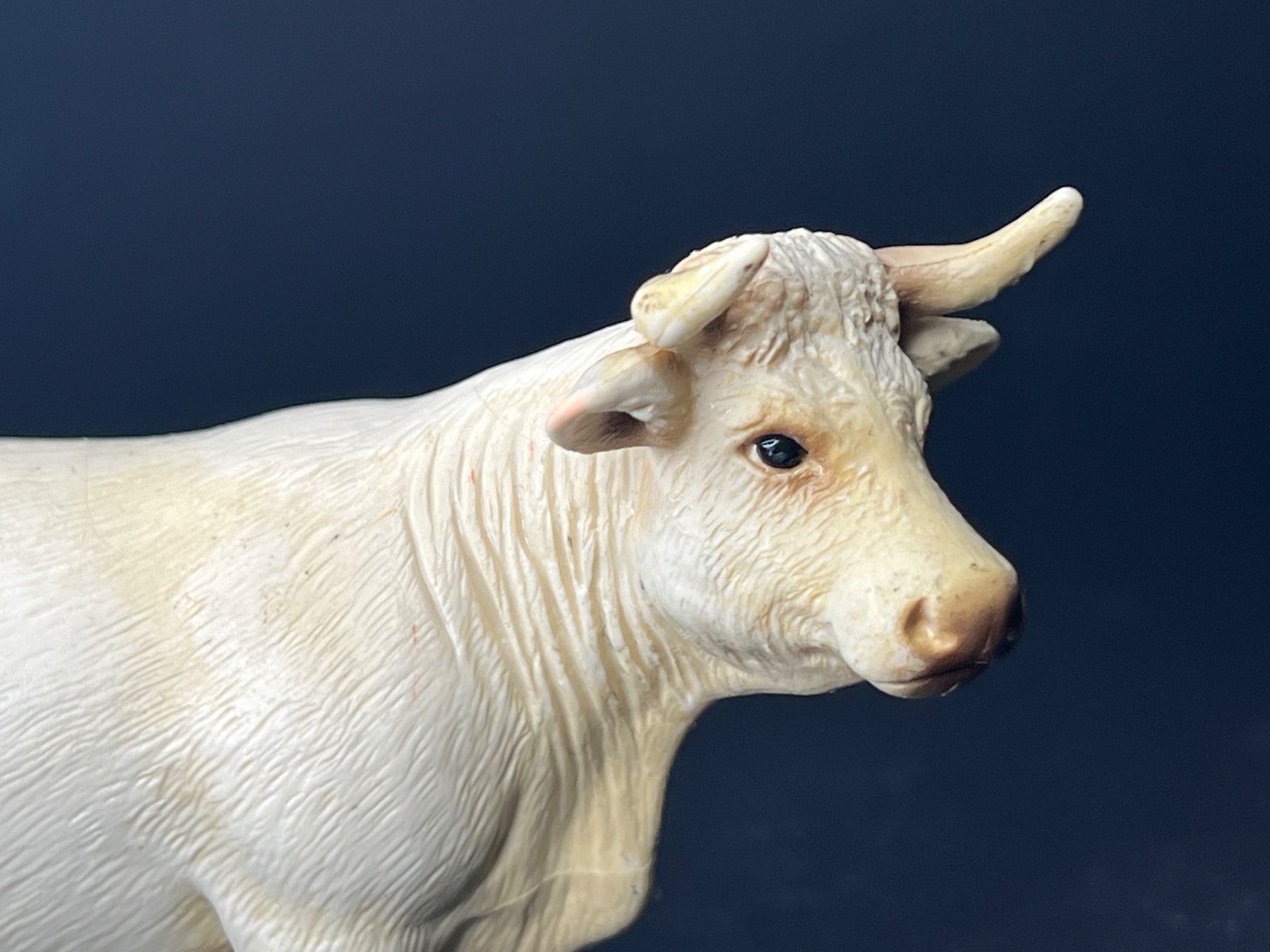 Schleich Statuette: Schleich 13610 Charolais Kuh – Usato da Ennetbaden venduto da mapa05 1