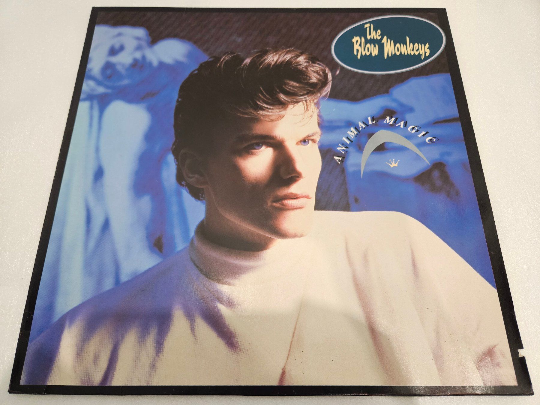 Dischi in vinile: The Blow Monkeys – Animal Magic – Usato da Uster venduto da Vinyl-Leidenschaft