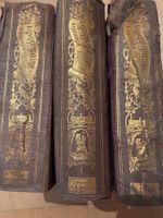 3 antike Bücher Die gesamten Naturwissenschaften 1873