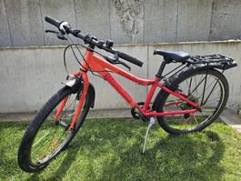 Crosswave Prime Rider 24 Zoll, 8 Gang NP 529.-