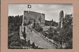 Ruine Farnsburg Ormalingen