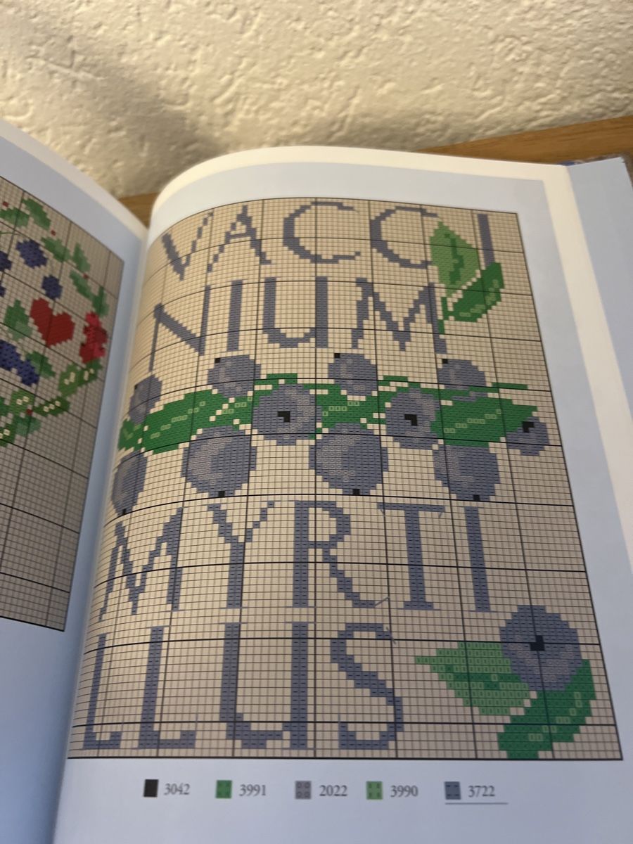 Libri: Schwedensommer Dekobuch Selbermachen – Nuovo (secondo la descrizione) da Seon venduto da Sunny-Schmuck78 1