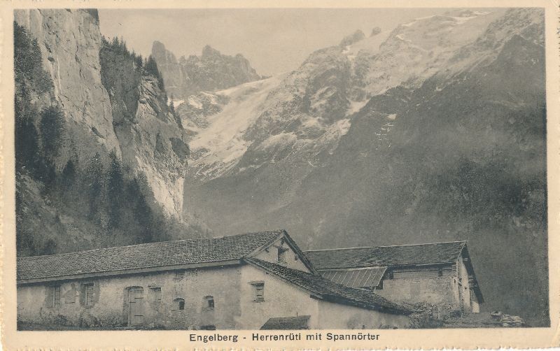 Cartoline postali: Engelberg - Herrenrüti + 1917 – Usato da Emmenbrücke venduto da teestube