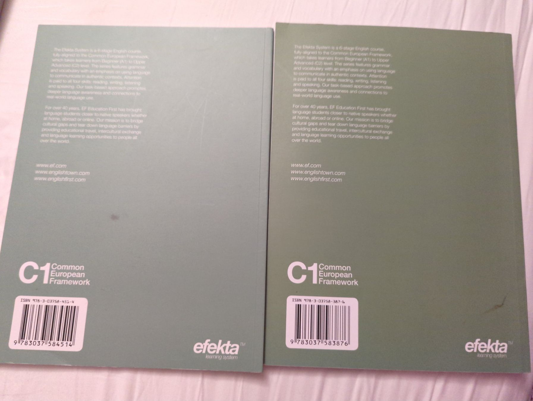 Bücher: Efekta Général Englisch C1 – Gebraucht aus Dierikon von Jolie 1