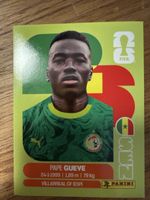 Panini Fifa SEN11