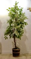 Kunstbaum Ficus Benjamini Deko Pflanze Baum