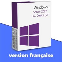 Microsoft Server 2022 Device CAL (5)