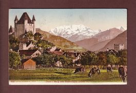 THUN - Burg und Blümlisalp - 1907