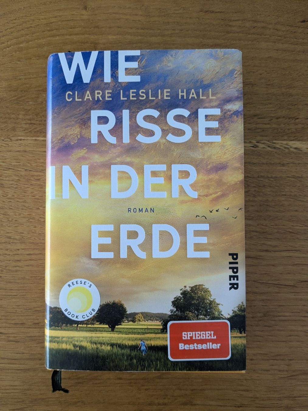 Clare Leslie Hall: Wie Risse in der Erde (Gebraucht) in Wohlen AG für ...