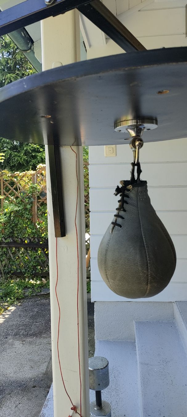 Sacchi da boxe: Boxbirne mit hochwertigem Kugelgelenk – Usato da Zürich venduto da Prisscess