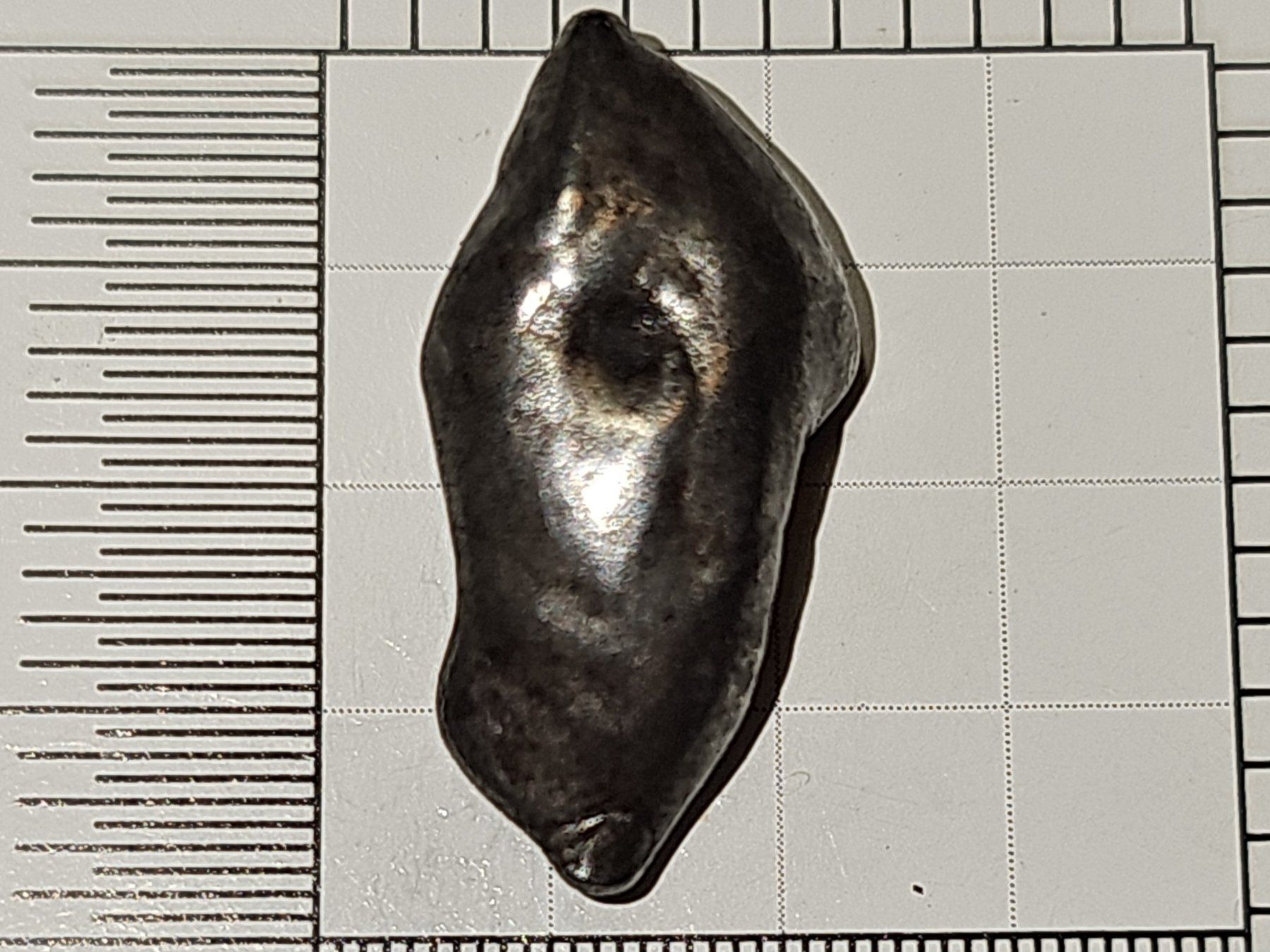 Mineralien & Heilsteine: Eisen-Nickel Meteorit aus Argentinien – Neu und originalverpackt aus Uerkheim von Winwinner 3