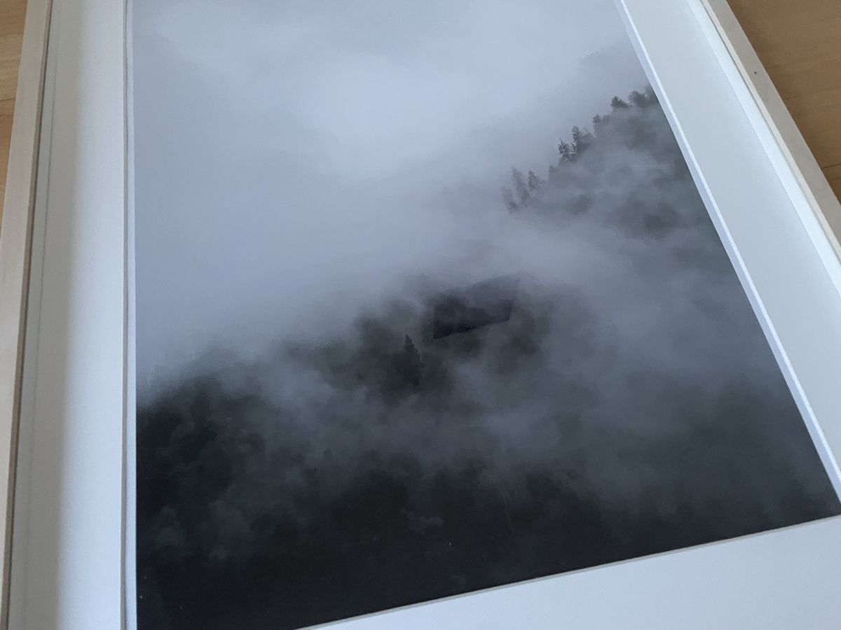 Foto & Immagini: Ikea Bilderrahmen mit schöner Fotografie eines Waldes – Usato da Thalwil venduto da Andieg 2