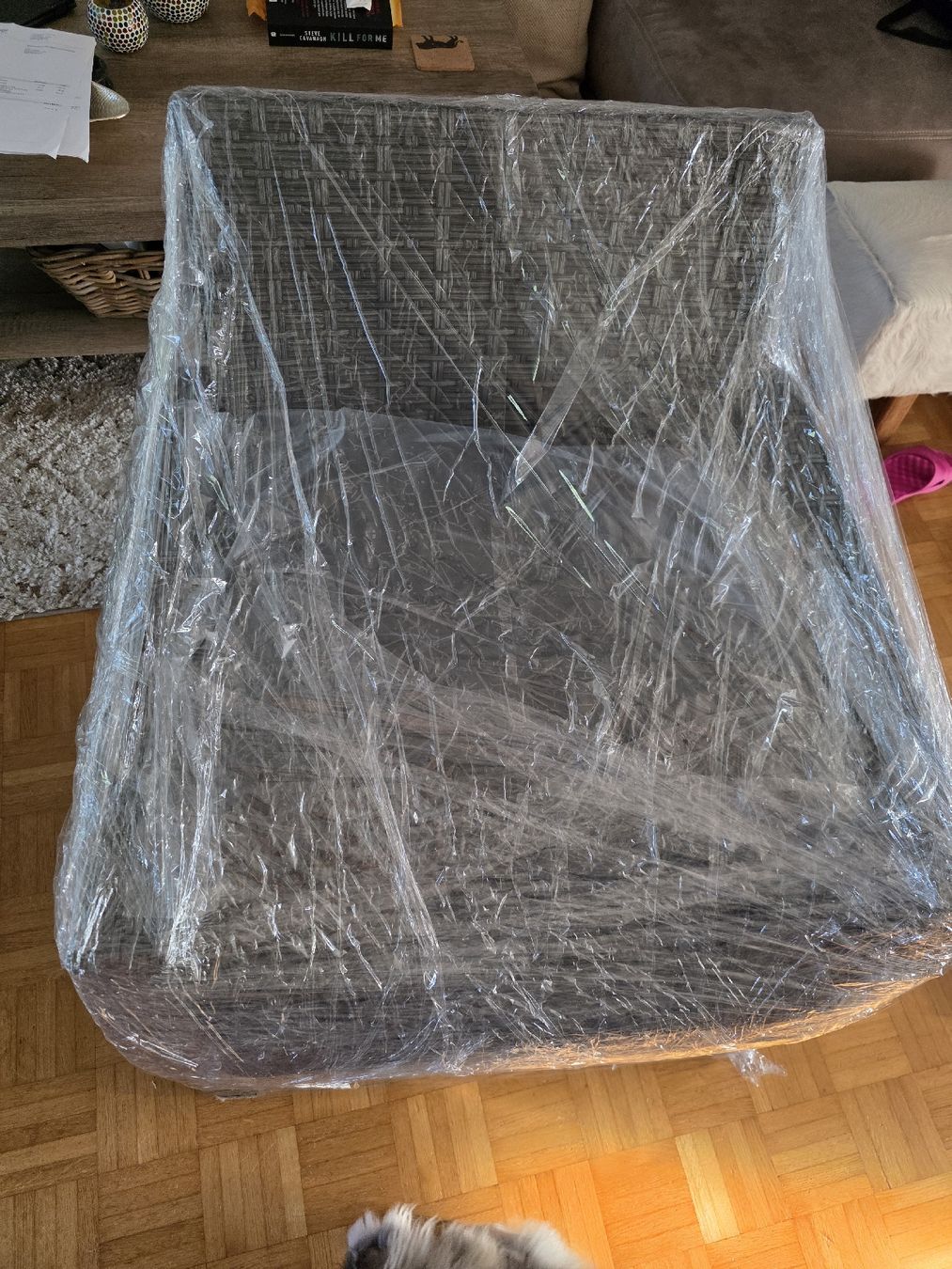 Poltrone: Rattan Sessel schwarz/grau Neu – Nuovo e nell'imballaggio originale da Wädenswil venduto da Gabinomi 1