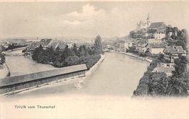 2x Thun vom Thunerhof