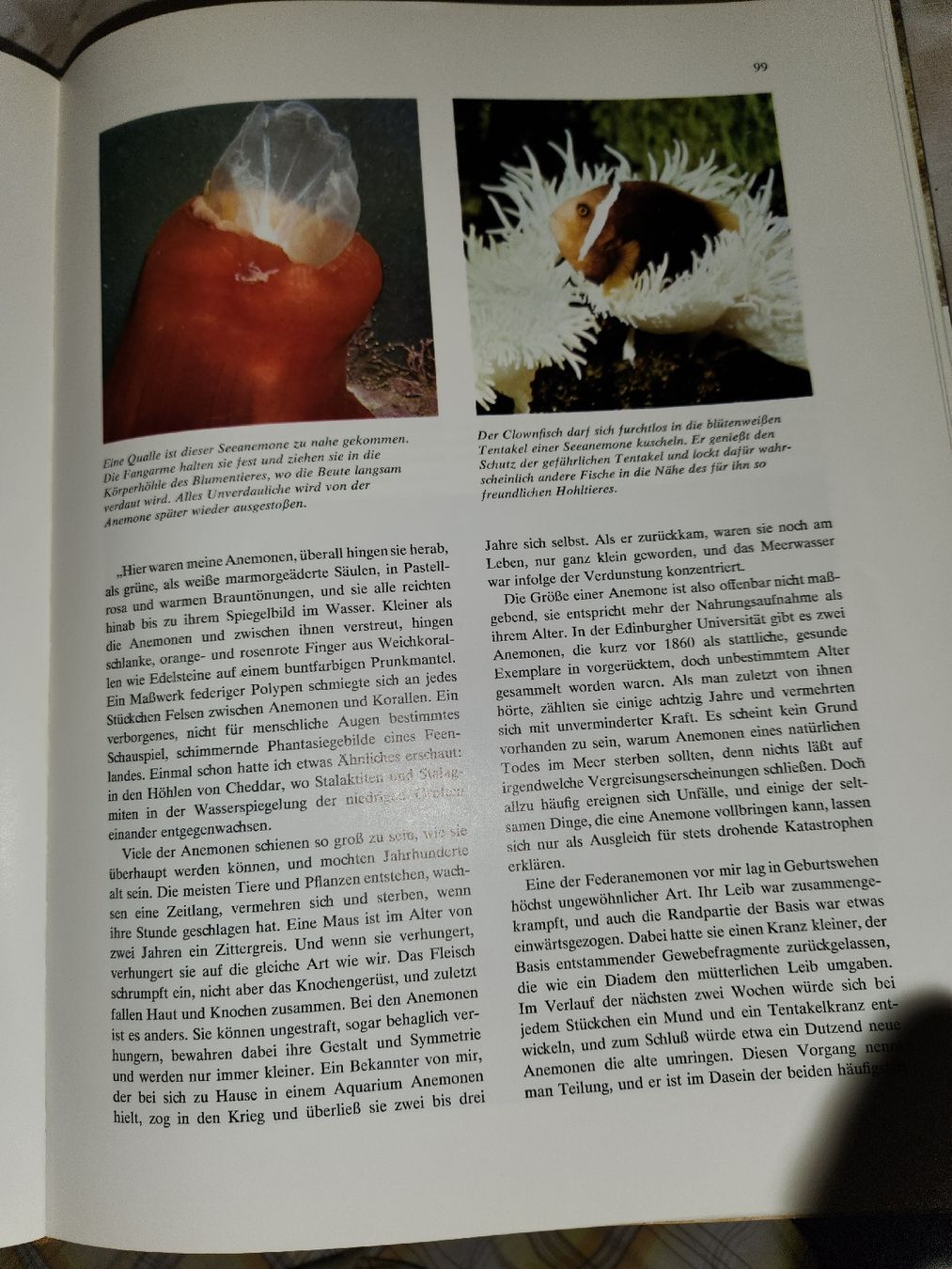 Libri: Das Grosse Reader's Digest Buch Der Ozeane 🌊 – Usato da Herisau venduto da bin_da 5