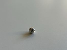 Pandora Charm - Australien