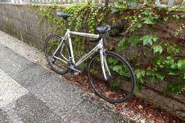 Rennvelo Wheeler Route 1.6 RH 57