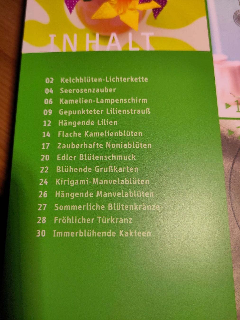 Livres: Buch: Origami Blüten – D'occasion à Bülach par Tiefschlaflos 2