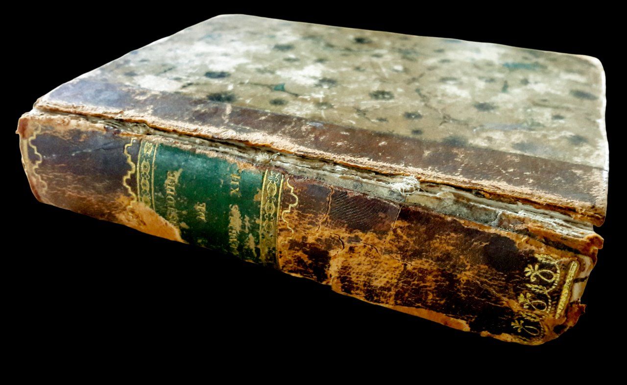 Libri: Histoire Charles XII Voltaire Leipzig Schaarschmidt 1832 – Usato da Tavannes venduto da Nekosumi 7